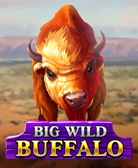 Jouez à Big Wild Buffalo au Show Reel Bingo Casino